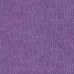 T66859 Lilac